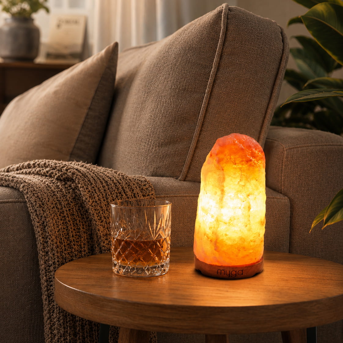 Himalayan Salt Lamps