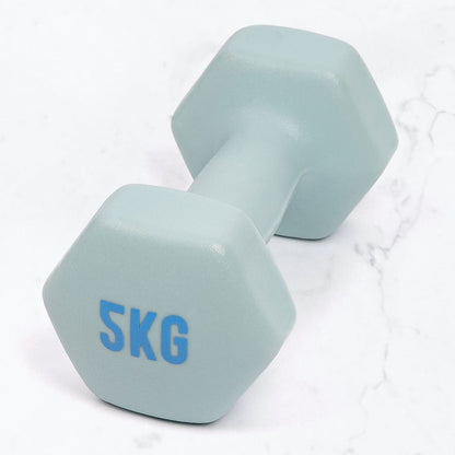 Neoprene & Cast Iron Hex Dumbbell Pair