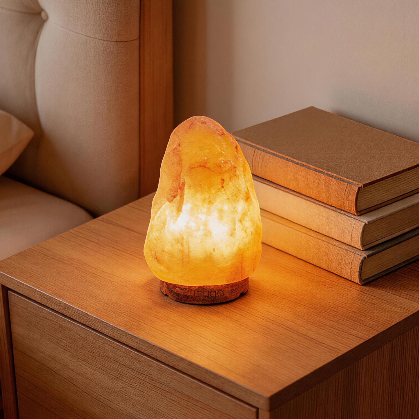 Himalayan Salt Lamps