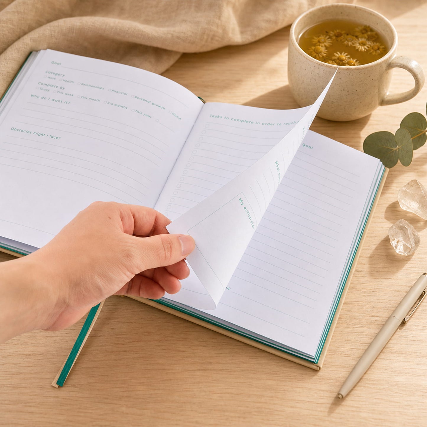 Goals Journal